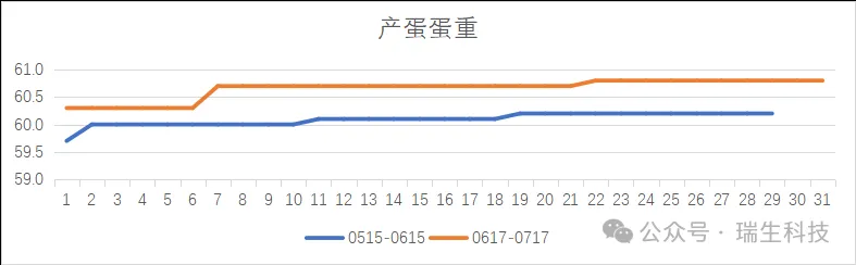 提升產(chǎn)蛋雞高峰后期經(jīng)濟(jì)效益的方法